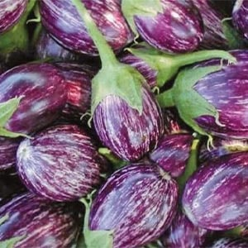 Brinjal Aradhana