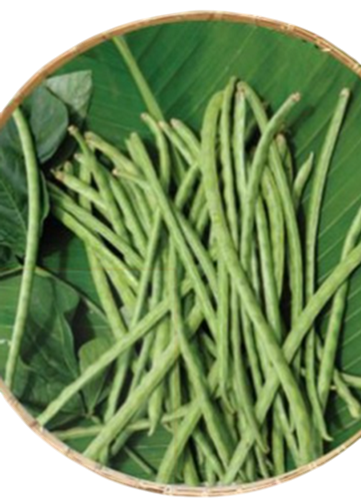 Cowpeas Aboli