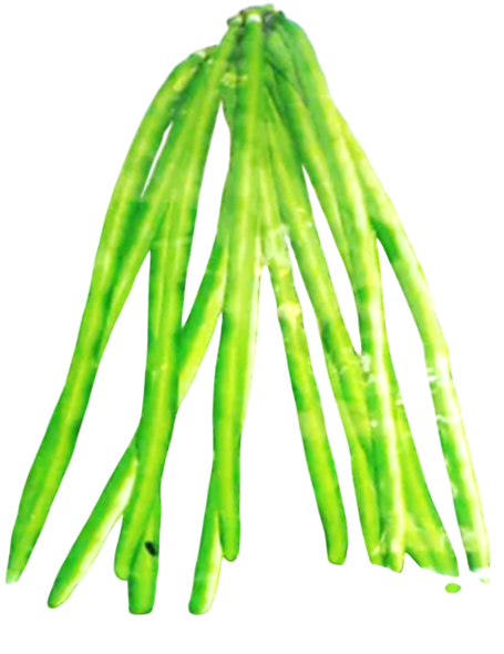 Cowpeas Dipika