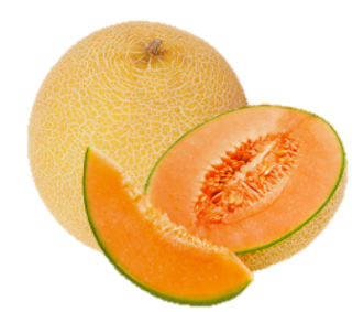 Muskmelon Shradha F1 Hybrid