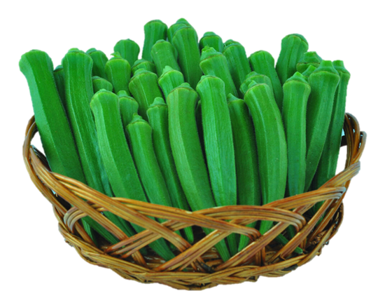 Okra Sakshi F1 Hybrid