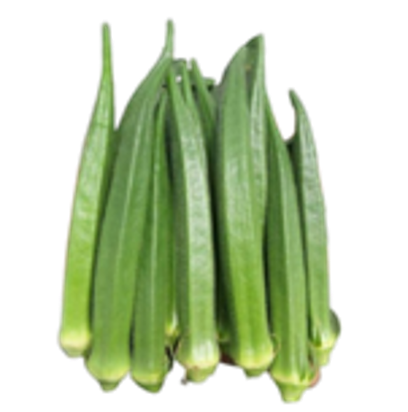 Okra Sunayana F1 Hybrid