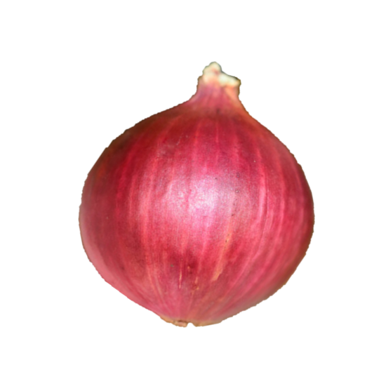 Onion Bahubali