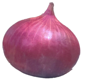 Onion Maharudra Power Gold Plus