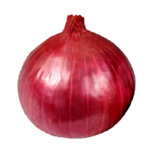 Onion Nasik Red