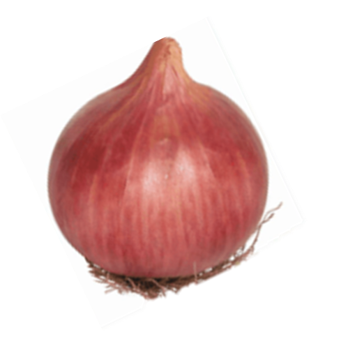 Onion Puna Phursungi