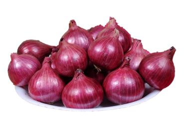 Onion S – 11