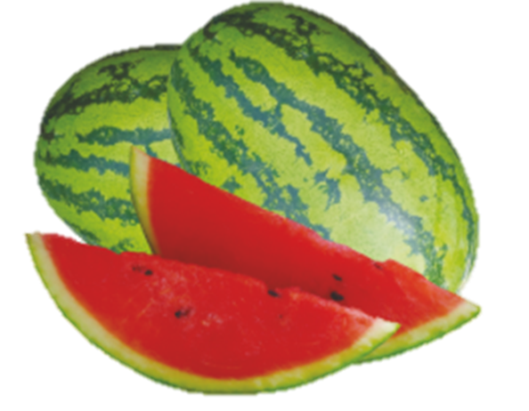 Watermelon Madhur F1 Hybrid